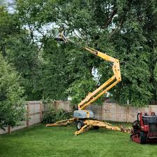 Best Arborist Consultation Services  in Lauderhill, FL